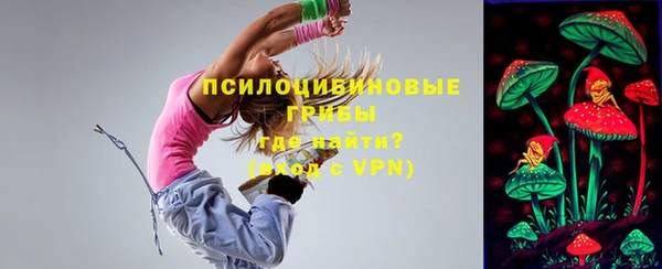 спиды Волосово