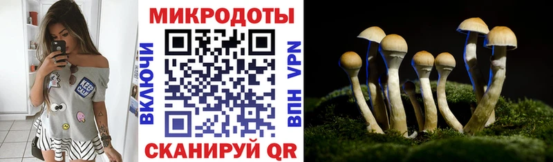 Галлюциногенные грибы прущие грибы  Ува 